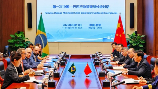 王祥喜会见巴西地区一体化发展部部长戈埃斯